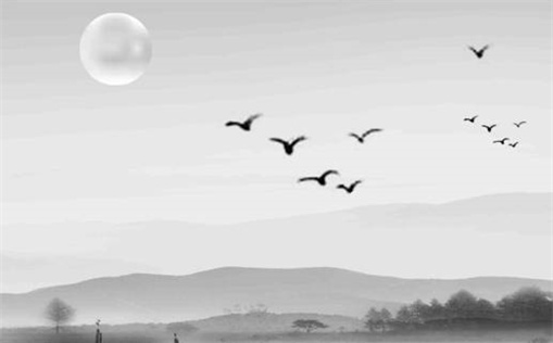 2029年12月12日搬家黄道吉日 今日乔迁搬家好吗