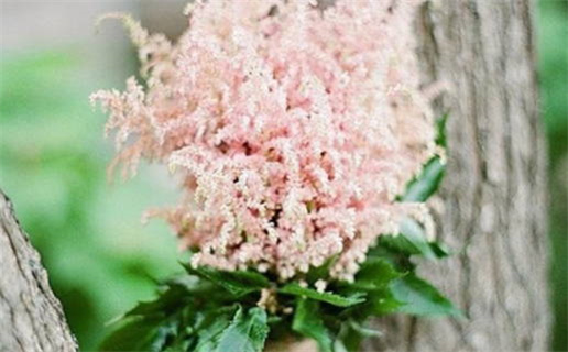 2029年农历八月初十是不是结婚吉日 办喜事吉利吗