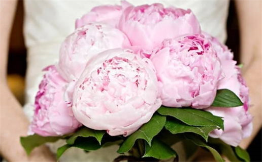 2029年02月25日结婚好吗 宜办婚礼吉日查询