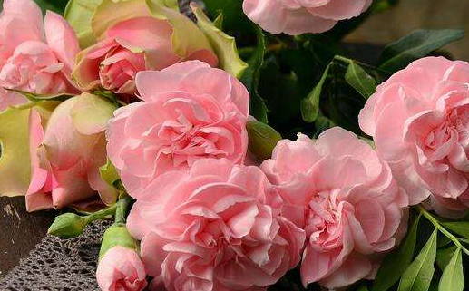 2030年农历腊月十七是结婚好日子吗 是办喜事好日子吗