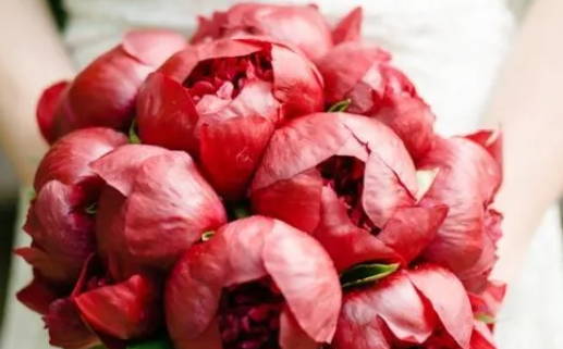 2030年农历五月初一结婚好不好 办婚礼吉利吗