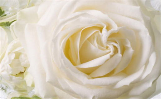 2029年08月02日是结婚好日子吗 宜办喜事吉日查询