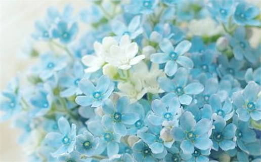 2030年09月22日结婚好不好 今日办喜事好不好