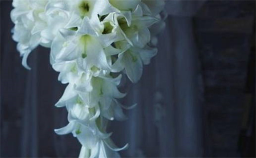 2029年农历二月初八结婚吉日查询 是办喜事好日子吗