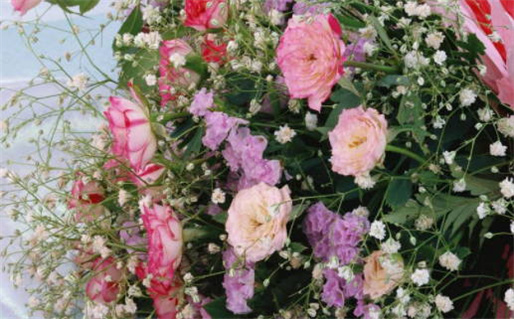 2025年农历十月廿九结婚日子如何 今日办喜事好吗 2025年农历十月廿九结婚日子如何 今日办喜事好吗