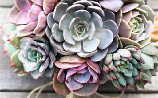 2029年农历九月十四结婚好吗 是办婚礼好日子吗