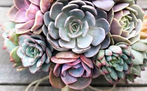 2030年农历腊月十九结婚黄道吉日 今日办喜事好吗