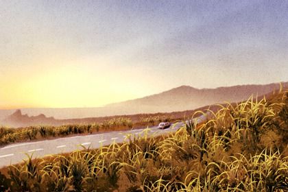 2026年07月08日是不是提车吉日 宜提车买车吉日查询