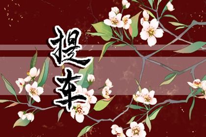 2026年05月23日提车好不好 买新车吉利吗