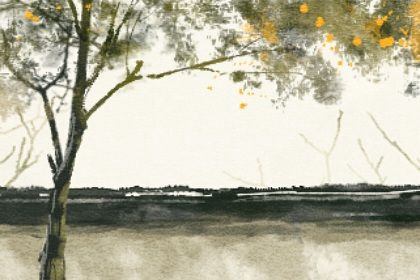 梅花易数天地定位 分析梅花易数如何进行解卦 梅花易数天地定位 分析梅花易数如何进行解卦