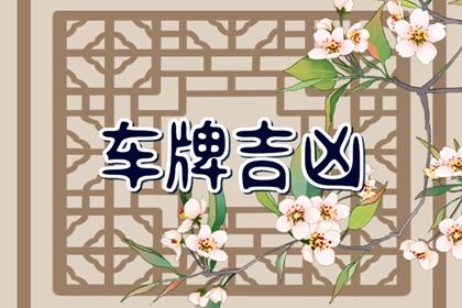 车牌号要怎么选什么数字最吉利 数理吉数有哪些 车牌号要怎么选什么数字最吉利 数理吉数有哪些