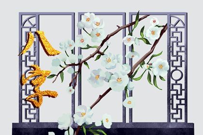 女命最好的日柱是哪个 最旺的八字日柱 女命最好的日柱是哪个 最旺的八字日柱