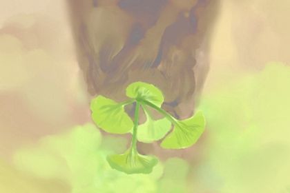 四柱排盘分析 四柱八字排盘详解析 四柱排盘分析 四柱八字排盘详解析