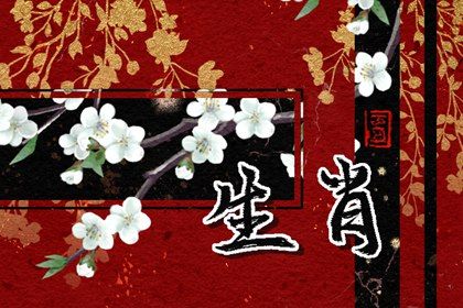 属相婚配蛇和兔 属兔人和属蛇人婚配好吗 属相婚配蛇和兔 属兔人和属蛇人婚配好吗