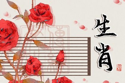 属龙男的和属虎女婚配如何 男属龙女属虎的婚姻怎么样 属龙男的和属虎女婚配如何 男属龙女属虎的婚姻怎么样