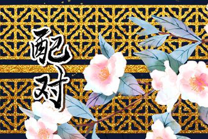 让狮子男疯狂的水瓶女 配合默契则互利共赢 让狮子男疯狂的水瓶女 配合默契则互利共赢