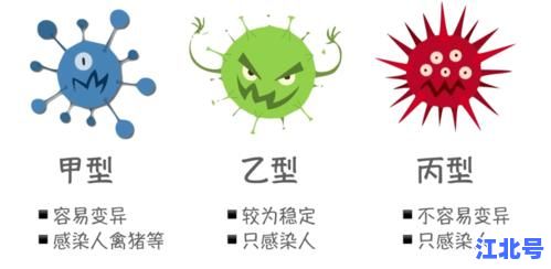 突发！成都一女子确诊禽流感H5N8病例 症状全过程曝光 最新防控指南速看