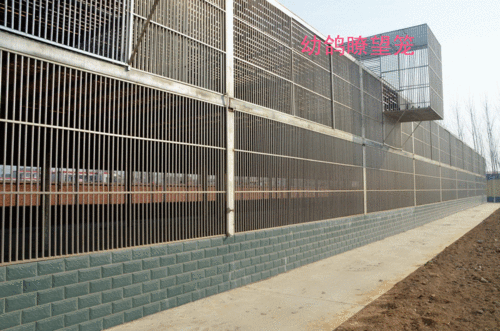 详细阅读:河北辛集最新公棚2024春棚赛实时动态|信鸽开笼训练成绩与官方排行榜更新 河北辛集最新公棚2024春棚赛实时动态|信鸽开笼训练成绩与官方排行榜更新