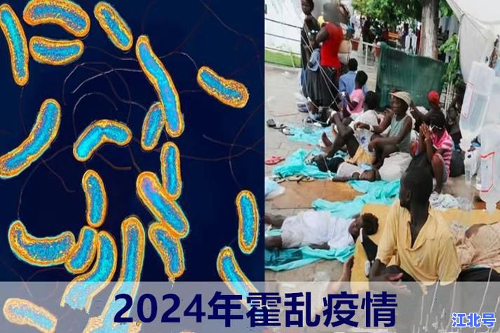 现在中国还有霍乱吗？2024最新疫情数据解析与防控政策全解读