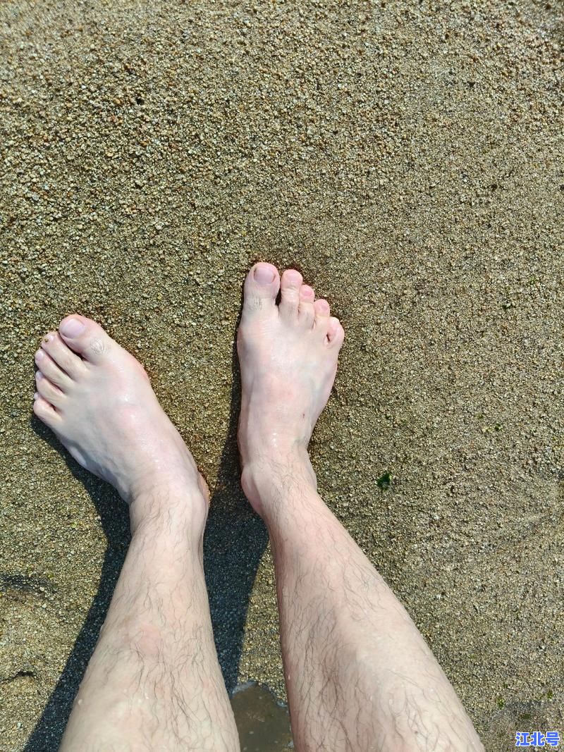 麻城最新信息发布：2024房价、招聘、天气、政策利好一站掌握