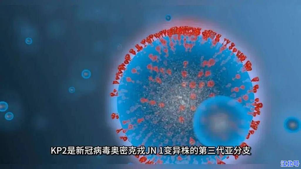 湖南本轮疫情源头是什么？权威溯源最新通报｜病毒株传播链详解与长沙株洲重点防控区最新提醒