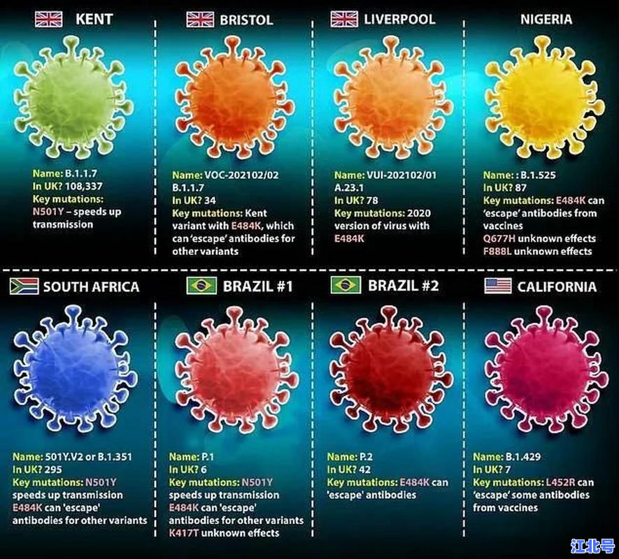 详细阅读:病毒变异后变成什么致命新毒株?专家揭秘奥密克戎XBB与BQ.1最新演化趋势 病毒变异后变成什么致命新毒株?专家揭秘奥密克戎XBB与BQ.1最新演化趋势