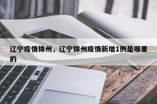 辽宁疫情锦州，辽宁锦州疫情新增1例是哪里的