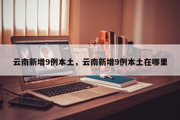 云南新增9例本土，云南新增9例本土在哪里